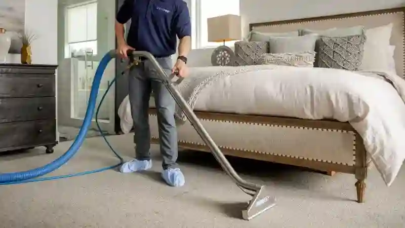 rug cleaning