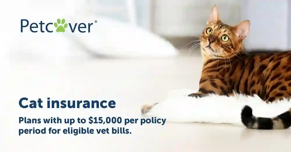 Cat Insurance
